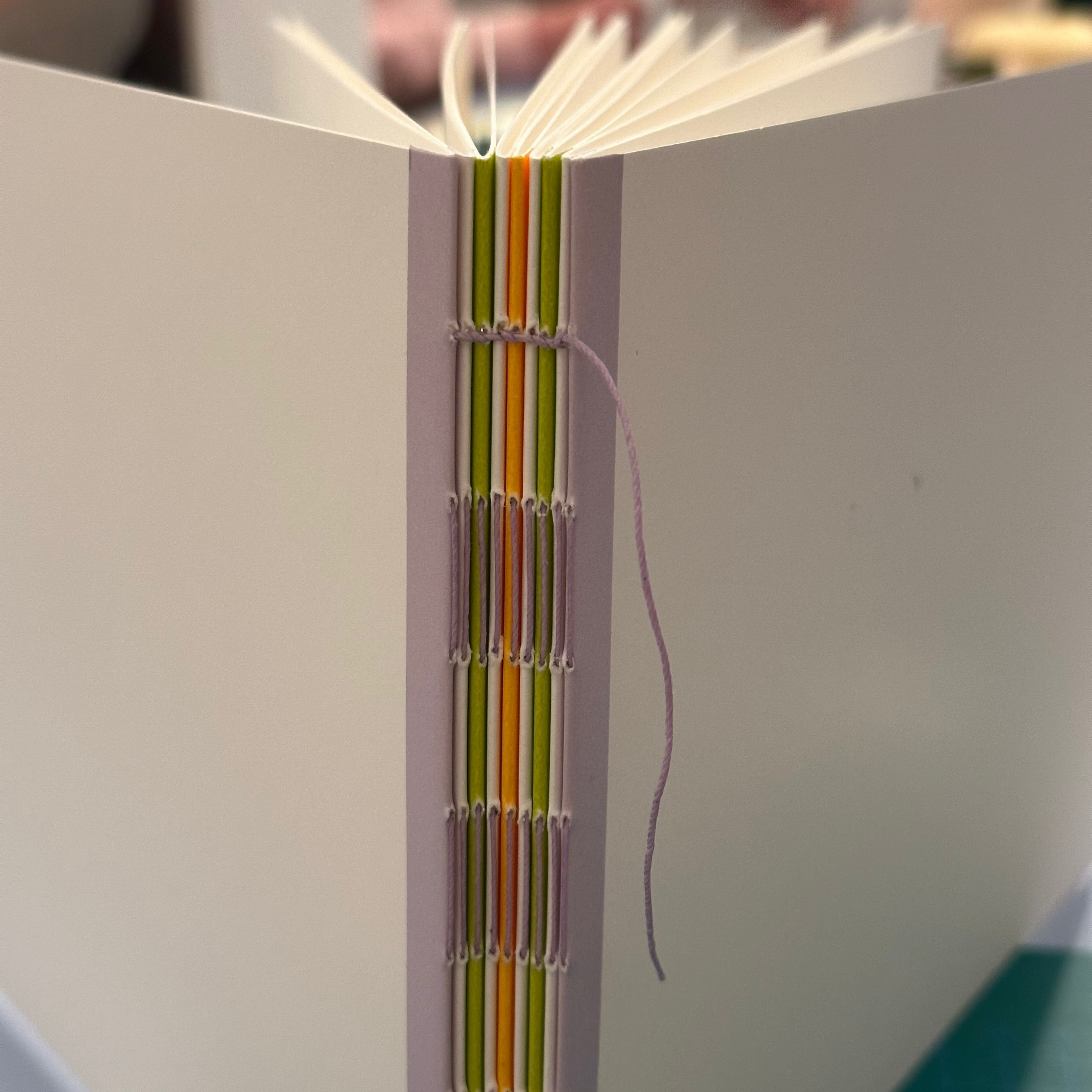 Nahaufnahme des Buchrückens aus dem Workshop Fotobuch mit offener Langstichheftung, bei dem eine sichtbare Langstichheftung mit weißen, grünen und orangefarbenen Seiten zu sehen ist, die durch lavendelfarbenen Faden zusammengehalten werden.