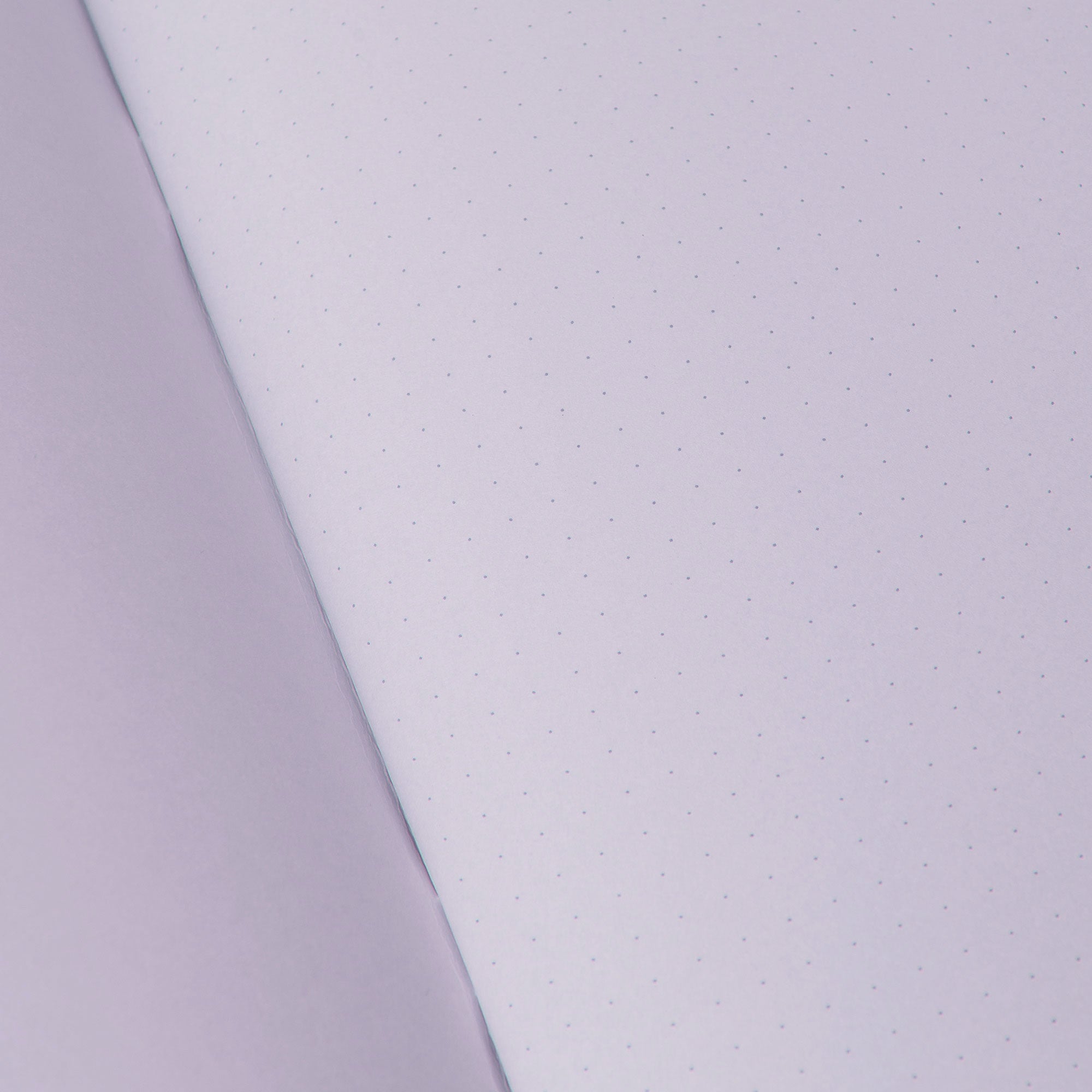 Ein geöffnetes Midori Notizhefte Color Dot Grid-Notizbuch zeigt seine weißen Seiten mit einem hellgrauen Punktraster, während die teilweise geöffnete linke Seite einen Rand in sanften Pastelltönen zeigt.
