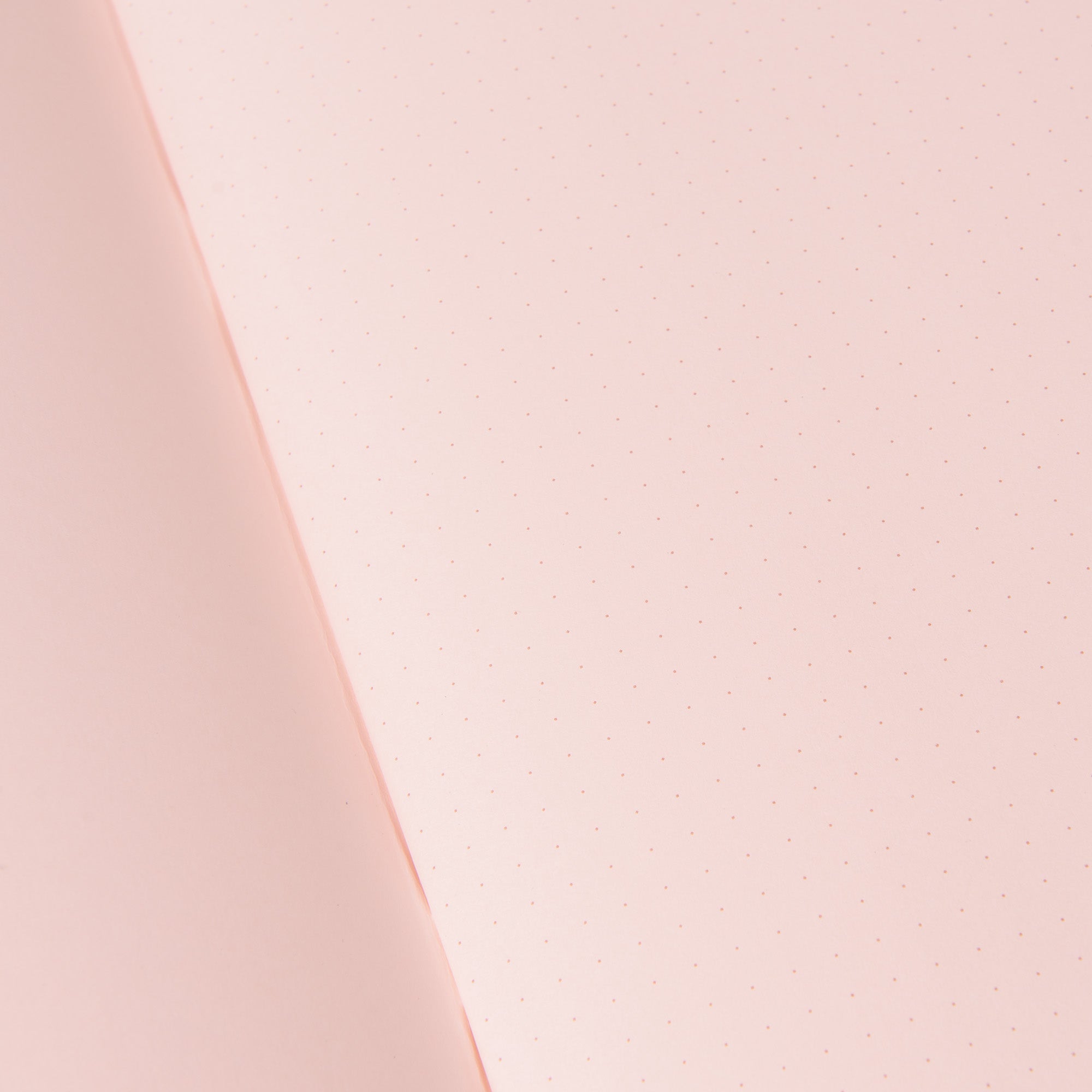 Eine Nahaufnahme eines offenen Midori Notizhefts Color Dot Grid zeigt hellrosa gepunktete Seiten mit schwachen, gleichmäßig verteilten Punkten, die ein subtiles Raster bilden. Der Winkel hebt die sanfte Rundung der Seite und die eleganten pastellfarbenen Details in Heißfolienprägung hervor.