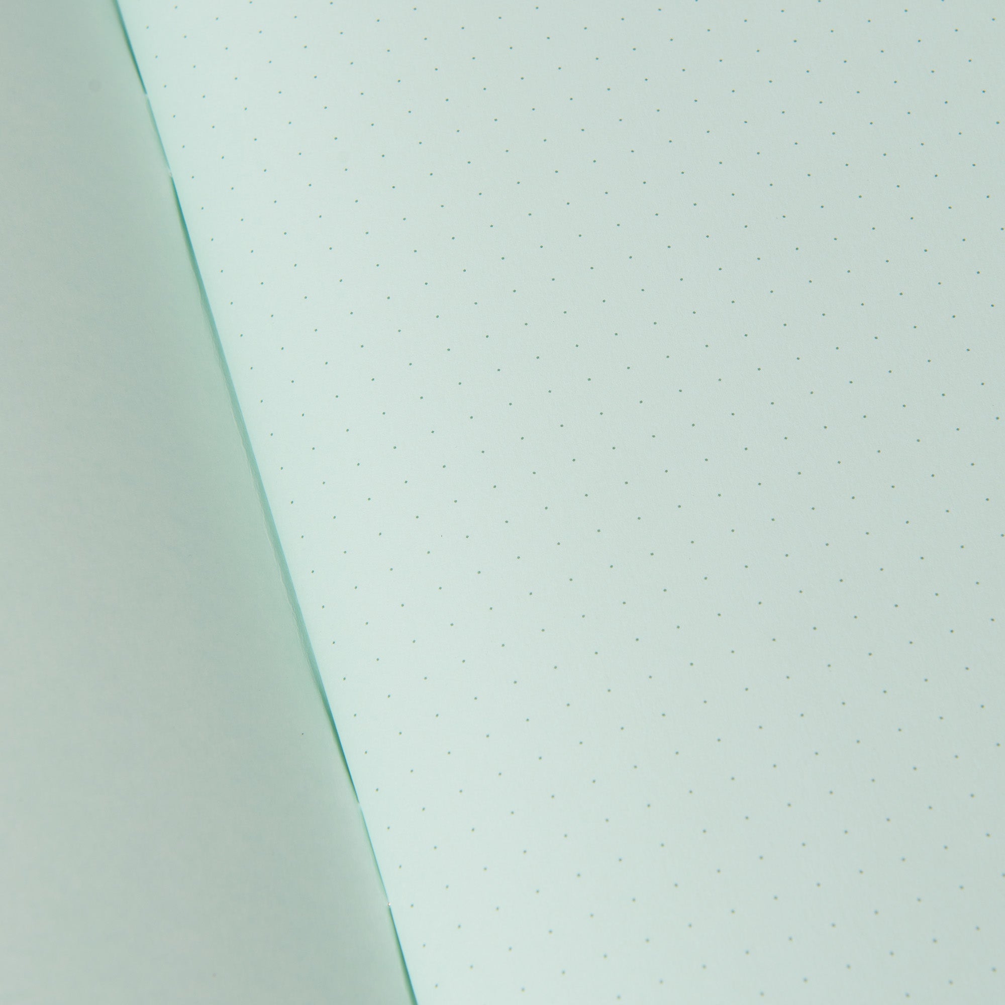 Nahaufnahme des geöffneten Midori Notizheftes Color Dot Grid mit hellgrünen, gleichmäßig gepunkteten Seiten. Die linke Seite ist leicht gefaltet, wodurch bei neutralem Licht die glatte Textur sichtbar wird, die die pastellfarbene Farbe hervorhebt.