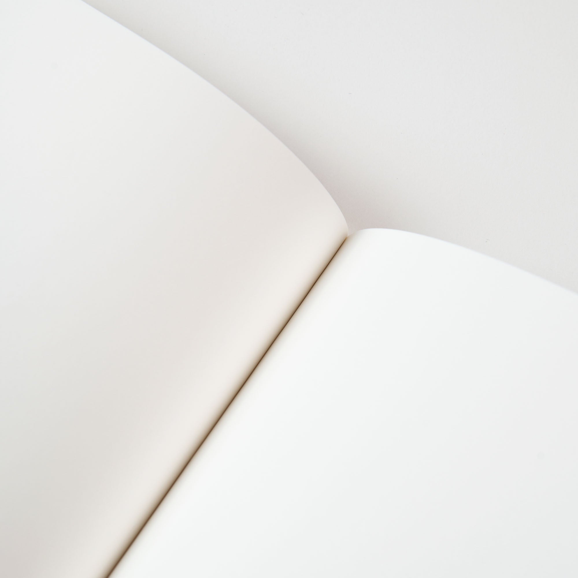 Ein minimalistisches Bild zeigt ein offenes Buch mit leeren weißen Seiten auf einer hellen Oberfläche, das an das 1/2-Jahres-Notizbuch B6 der Stalogy Editor’s Series erinnert und seine sauberen, unberührten Seiten hervorhebt, die endlose Personalisierungsmöglichkeiten bieten.