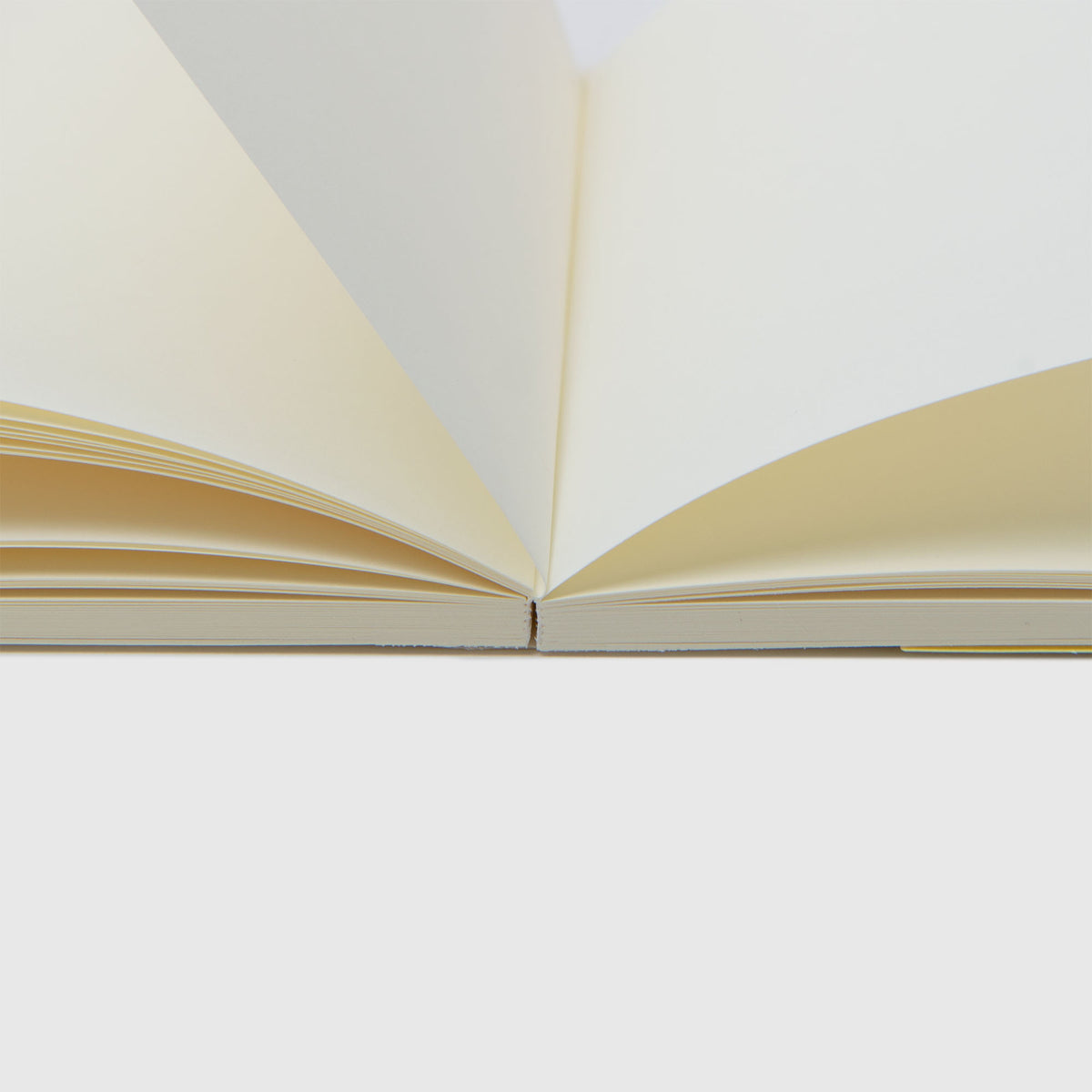 Ein aufgeschlagenes Midori MD Notebook A6 von Midori wird aus einem niedrigen Blickwinkel gezeigt, wobei die mittige Falz, an der die fadengebundenen Seiten aufeinandertreffen, hervorgehoben wird und die cremefarbenen Blätter vor einem weißen Hintergrund fächerförmig ausgebreitet zu sehen sind.
