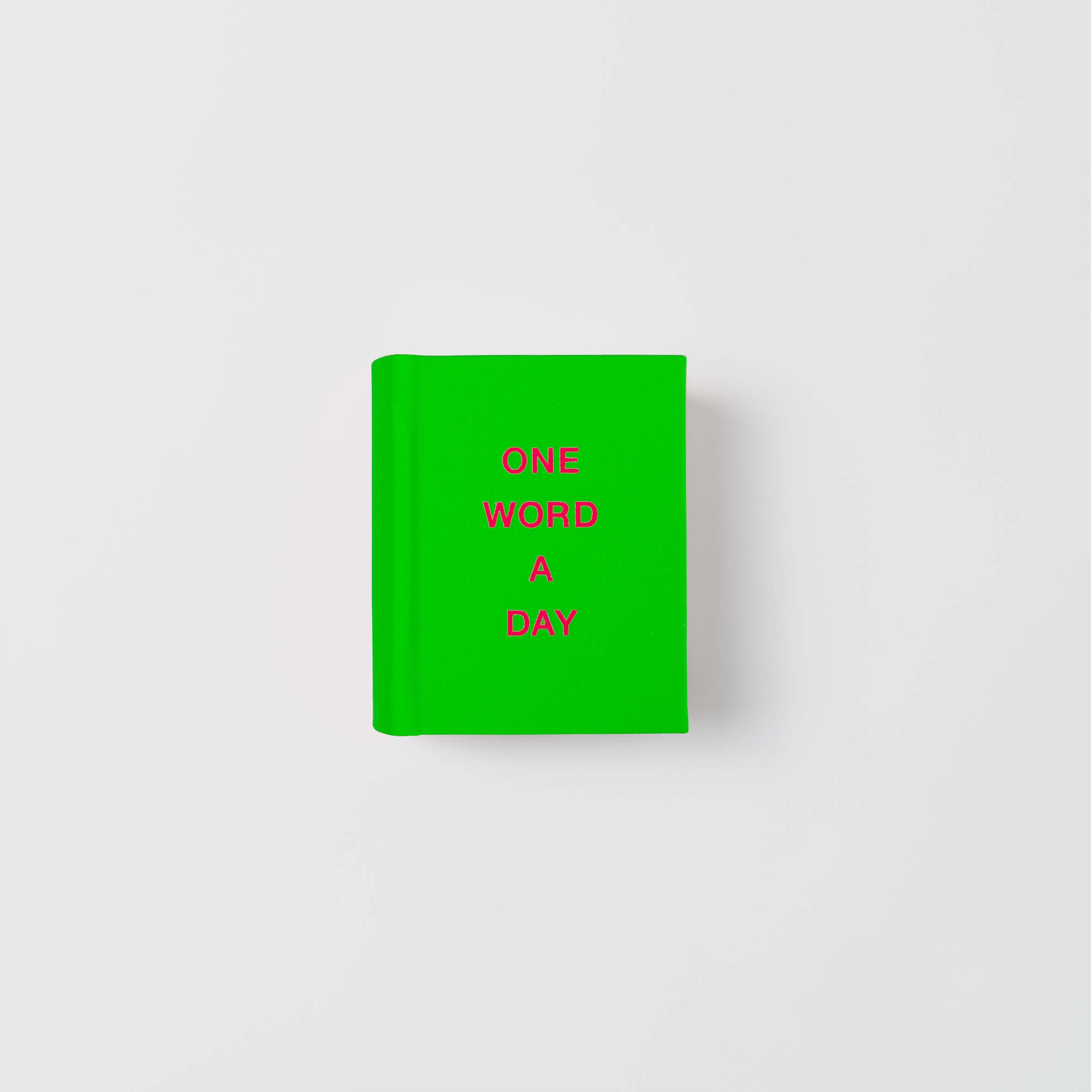 Ein leuchtend grünes Paperlux OWAD Neon-Buch mit pinker Schrift ist auf einem schlichten weißen Hintergrund zentriert - perfekt als Geschenk oder zur täglichen Inspiration für das Tagebuch.